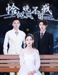 ǡ�����粻���ң��������