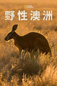 Ұ�԰Ĵ�����