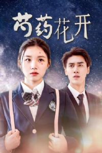 ����е���ҩ��