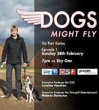 ����Ҳ�����