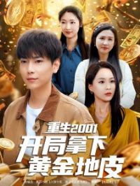 ����2001�������»ƽ��Ƥ