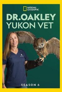 ������ҽ������