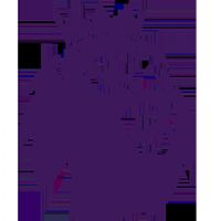 Ӣ�� ��ɭ��vs������20250824