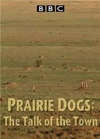 BBC��Ȼ����.���Դ�ʦ��ԭȮ��