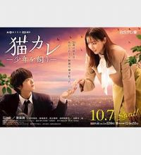 �����˸�����