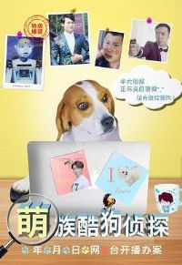 ����ṷ��̽