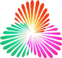 ȫ˻ʸ B857020250605