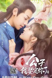 ���ӣ���Ȣ������2