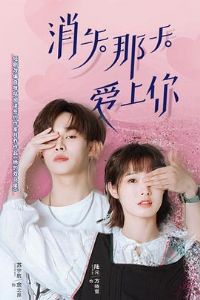 ��ʧ���찮����